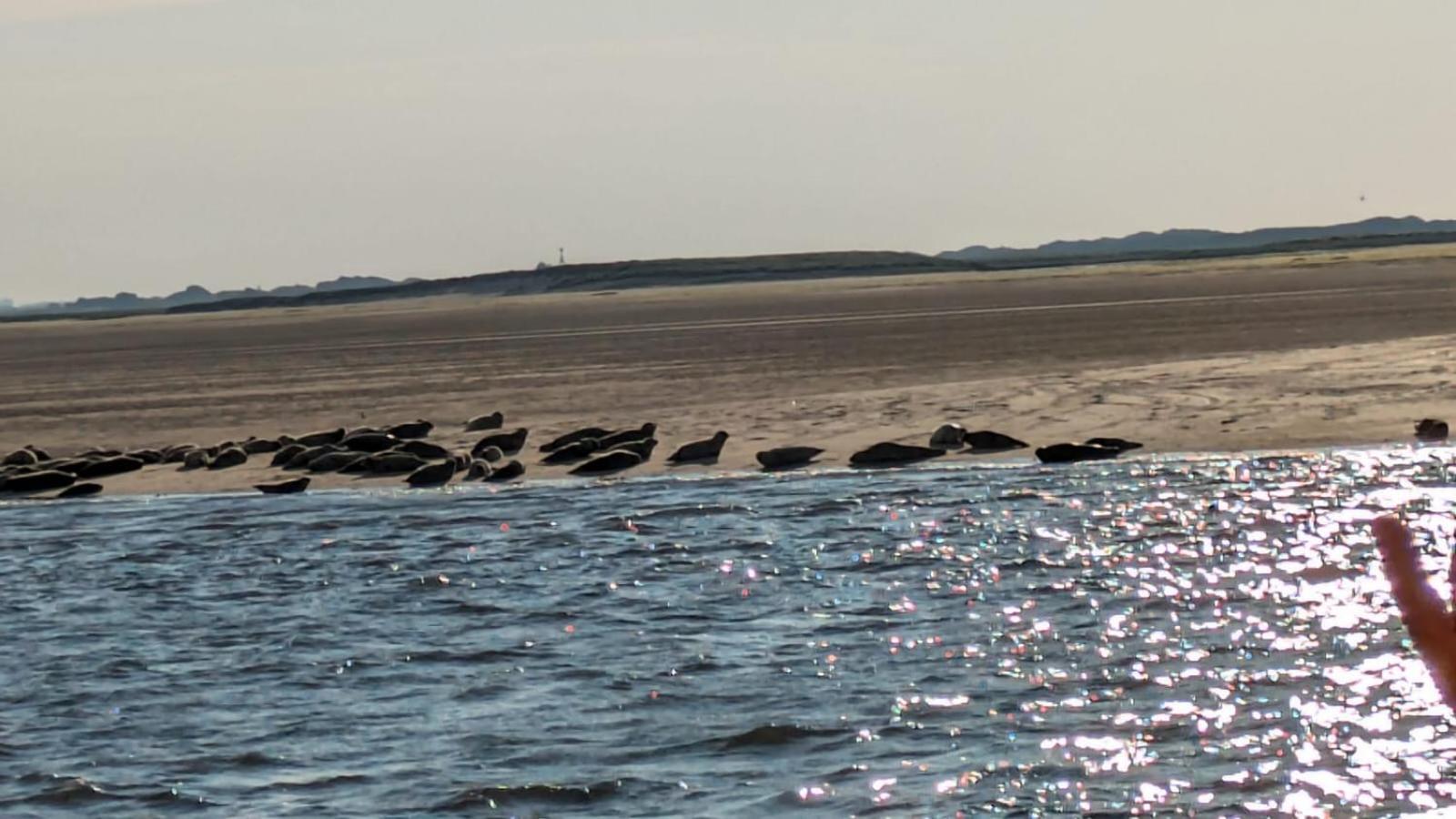 Drei-Insel-Blick Nessmersiel Exterior foto