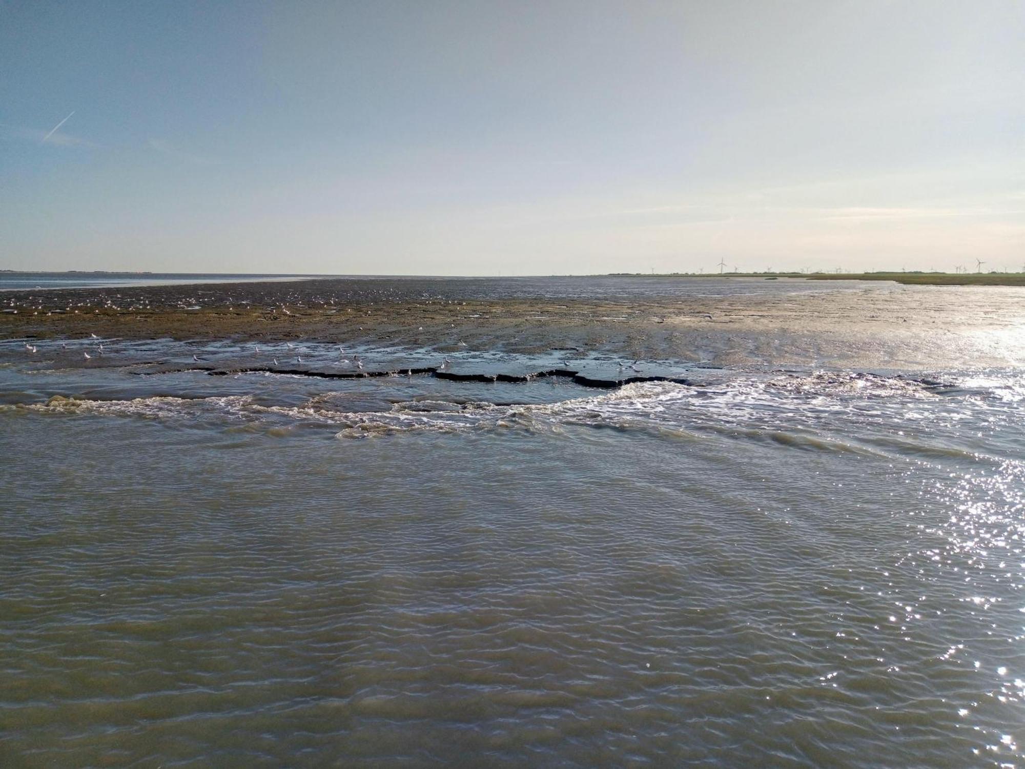 Drei-Insel-Blick Nessmersiel Exterior foto