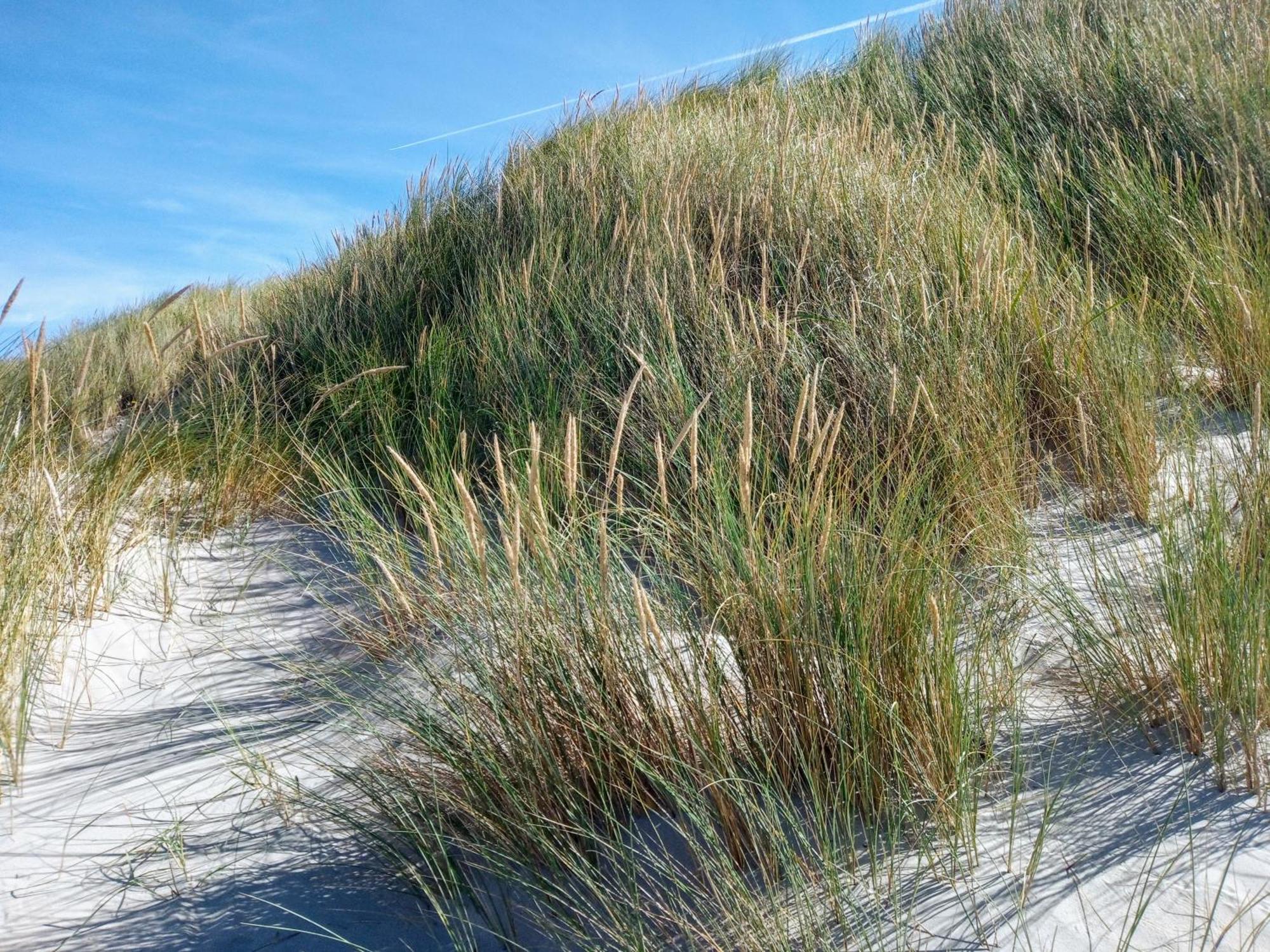Drei-Insel-Blick Nessmersiel Exterior foto